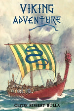 Book cover for Viking Adventure