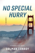 Book cover for No Special Hurry