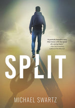 Book cover for Split