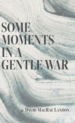 Book cover for Some Moments in a Gentle War