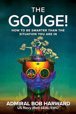 Book cover for Gouge!: How to Be Smarter Than the Situation You Are in