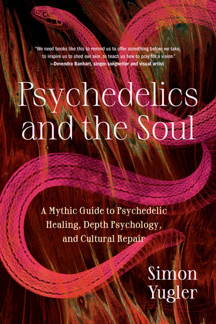 Book cover for Psychedelics and the Soul: A Mythic Guide to Psychedelic Healing, Depth Psychology, and Cultural Repair