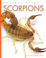 Book cover for Scorpions