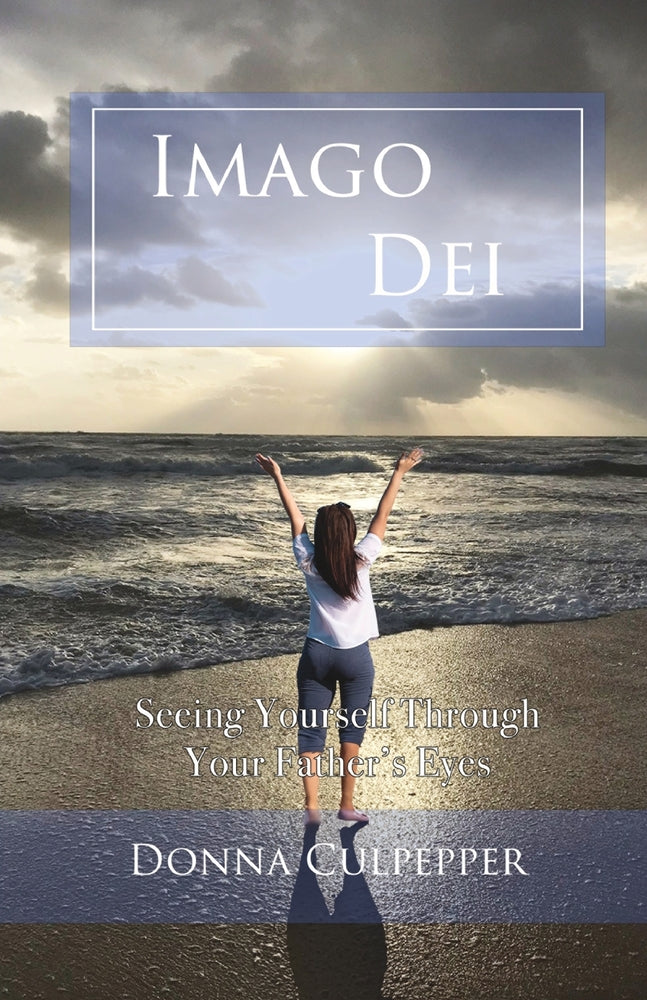 Book cover for Imago Dei: Seeing Yourself Through Your Father's Eyes
