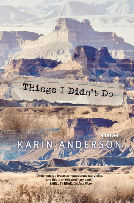 Book cover for Things I Didn't Do