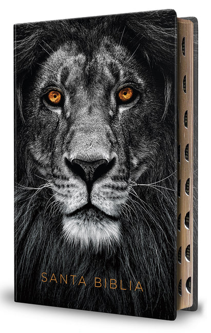 Book cover for Biblia Reina Valera 1960 Letra Grande. Biblia León Símil Piel Índice / Spanish Bible Rvr 1960 Handy Size Large Print Imitation Leather Lion of Judah