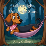 Book cover for Lola's Night Under the Stars