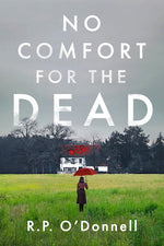Book cover for No Comfort for the Dead: An Irish Library Mystery