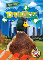 Book cover for Ducks