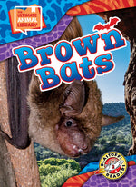 Book cover for Brown Bats