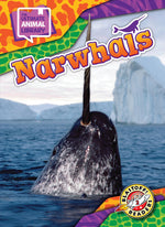 Book cover for Narwhals