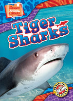 Book cover for Tiger Sharks