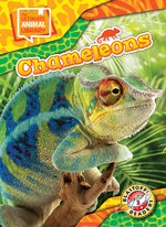 Book cover for Chameleons