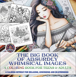 Book cover for Big Book of Absurdly Whimsical Images: A Coloring Book for Teens & Adults