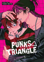 Book cover for Punks Triangle