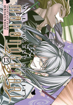 Book cover for Malevolent Spirits: Mononogatari Vol. 13