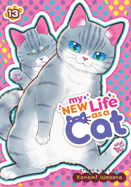 Book cover for My New Life as a Cat Vol. 13