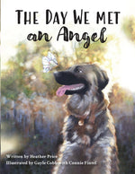 Book cover for Day We Met an Angel