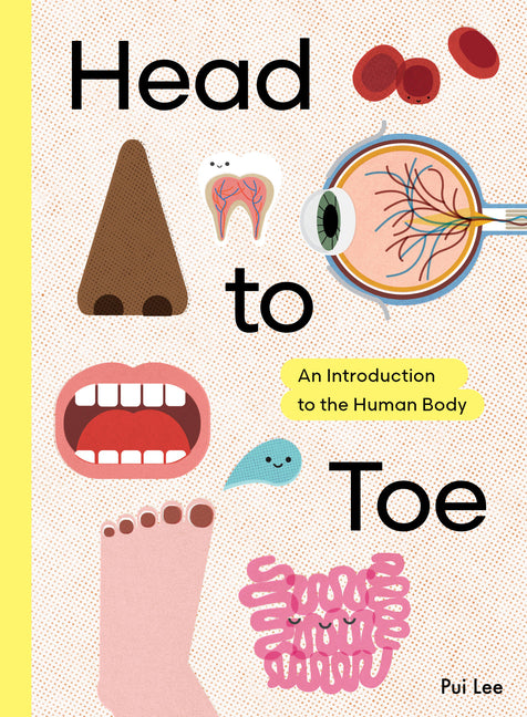 Book cover for Head to Toe: An Introduction to the Human Body