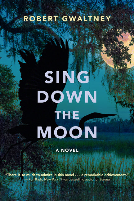 Book cover for Sing Down the Moon