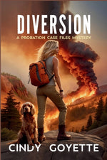 Book cover for Diversion: A Probation Case Files Mystery