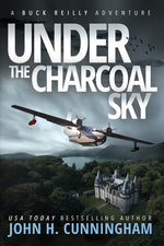 Book cover for Under the Charcoal Sky