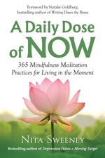 Book cover for A Daily Dose of Now: 365 Mindfulness Meditation Practices for Living in the Moment