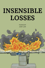 Book cover for Insensible Losses