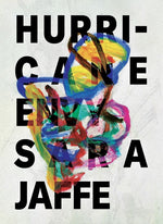 Book cover for Hurricane Envy