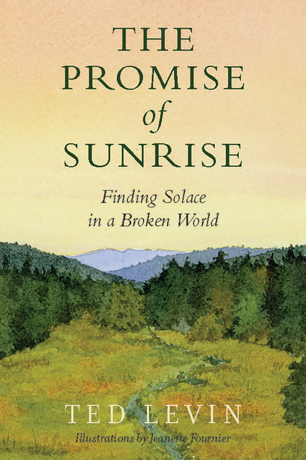 Book cover for Promise of Sunrise: Finding Solace in a Broken World