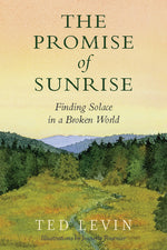 Book cover for Promise of Sunrise: Finding Solace in a Broken World