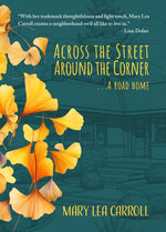 Book cover for Across the Street Around the Corner...a Road Home