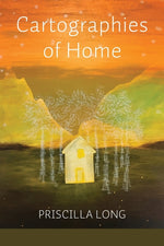 Book cover for Cartographies of Home