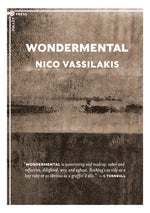 Book cover for Wondermental