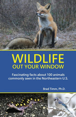 Book cover for Wildlife Out Your Window: Fascinating Facts About 100 Animals Commonly Seen in the Northeastern U.S. (Northeast)