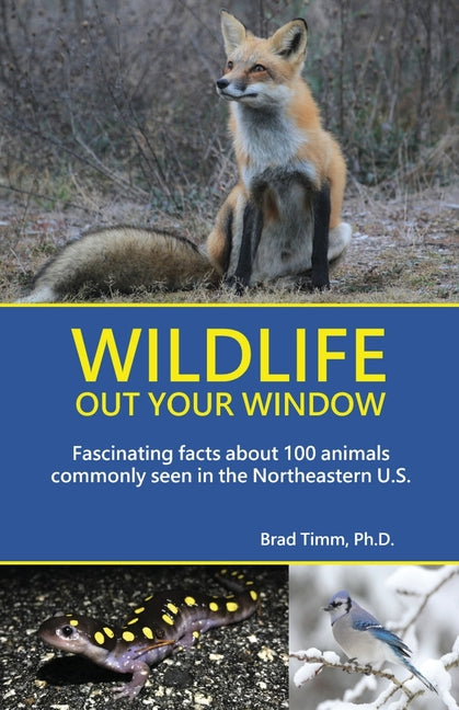 Book cover for Wildlife Out Your Window: Fascinating Facts About 100 Animals Commonly Seen in the Northeastern U.S. (Northeast)