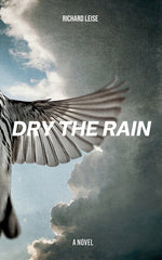 Book cover for Dry The Rain