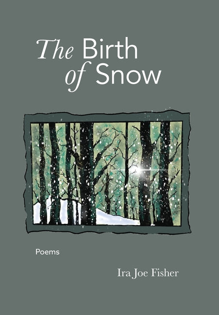 Book cover for Birth of Snow: Poems