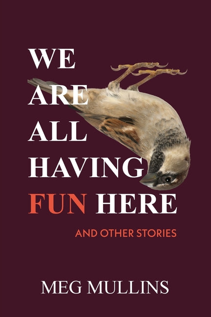 Book cover for We Are All Having Fun Here
