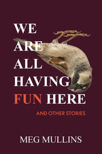 Book cover for We Are All Having Fun Here
