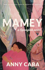 Book cover for Mamey: a Spanglish Novel
