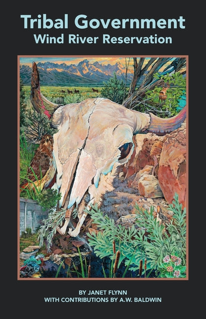 Book cover for Tribal Government: Wind River Reservation