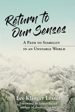 Book cover for Return to Our Senses: A Path to Stability in an Unstable World