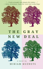 Book cover for Gray New Deal