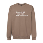 The Only A.I. I Support is Anal Intercourse Sweatshirt