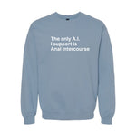 The Only A.I. I Support is Anal Intercourse Sweatshirt