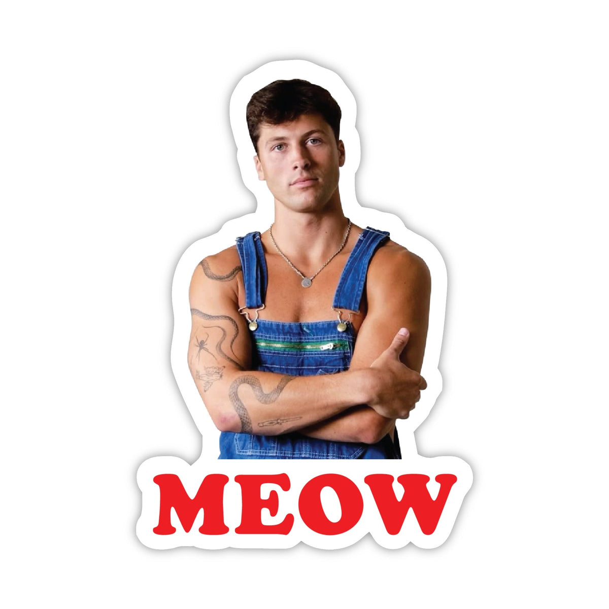 Rob Rausch Meow (Traitors) - Sticker
