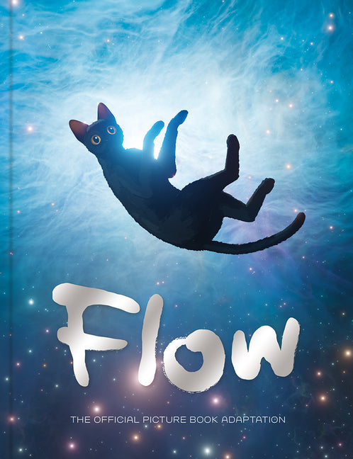 Book cover for Flow Picture Book
