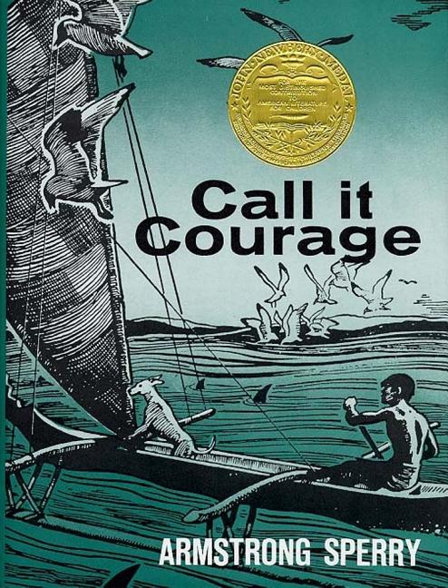 Book cover for Call It Courage