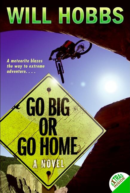 Book cover for Go Big or Go Home